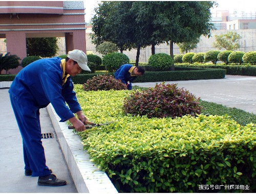 泰州绿化工程踏勘