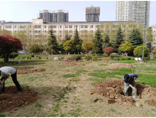 泰州城市绿化带护栏