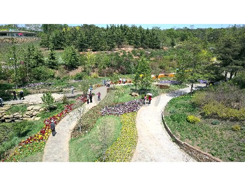 四川绿化工程大概费用