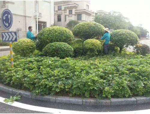 沅江城市绿化护栏规范