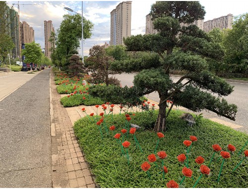 利川绿化草皮基地