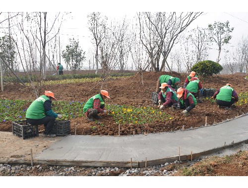 屯溪城市绿化项目公司电话