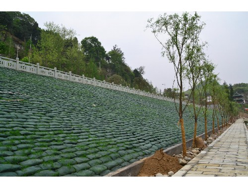 广汉城市绿化带种植什么植物比较好